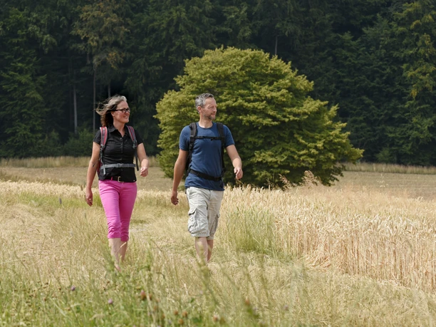 Zwei Personen wandern auf einem Weg durch ein Feld, von Wäldern im Hintergrund umgeben.
