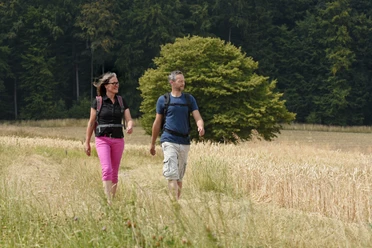 Wandern den Ohren zuliebe Zwei Personen wandern auf einem Weg durch ein Feld, von Wäldern im Hintergrund umgeben.