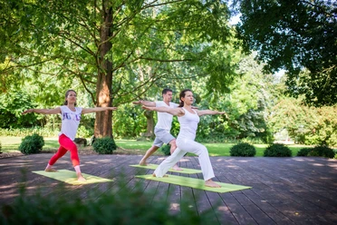 Yoga im Park von Holsing Vital Personen praktizieren Yogaposen auf Matten in einem grünen, baumreichen Park.