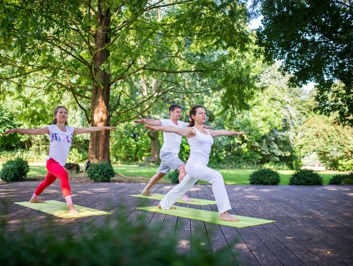 Yoga im Park von Holsing Vital Personen praktizieren Yogaposen auf Matten in einem grünen, baumreichen Park.