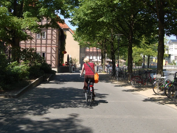 Eine Person auf einem Fahrrad fährt auf einem sonnigen, baumgesäumten Weg entlang, umgeben von Fachwerkhäusern.