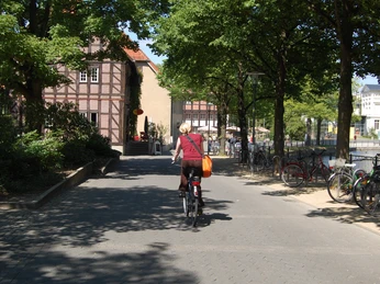 Die Ameide Eine Person auf einem Fahrrad fährt auf einem sonnigen, baumgesäumten Weg entlang, umgeben von Fachwerkhäusern.