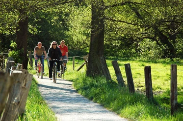 Bad Salzuflen Landschaftsgarten Drei Radfahrer auf einem naturbelassenen Weg, flankiert von grünen Wiesen und Bäumen im Sonnenlicht.
