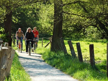 Bad Salzuflen Landschaftsgarten Drei Radfahrer auf einem naturbelassenen Weg, flankiert von grünen Wiesen und Bäumen im Sonnenlicht.