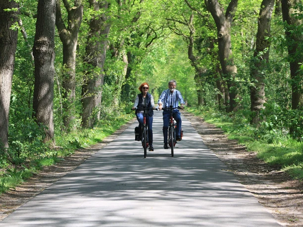 rad-paar-mansholter-buesche-2