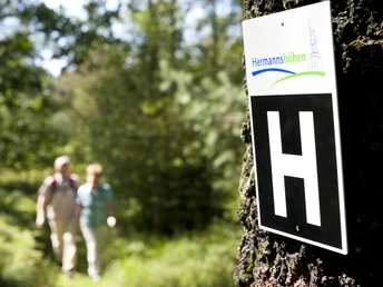 Hermannshöhen Wanderer spazieren auf einem malerischen Waldweg in den Hermannshöhen, ein Schild weist den Weg.
