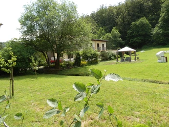 m-cke_marsberg_aussen1_2000 Grünes Gelände mit kleinen Bach, Bäumen und einer modernen Hütte im Hintergrund unter blauem Himmel.