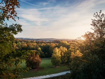 Blick auf den Teutoburger Wald Weite Aussicht über den Teutoburger Wald bei Sonnenuntergang, von grünem Baumbestand umrahmt.
