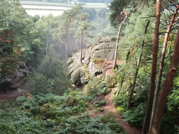 Waldpfad zwischen moosbewachsenen Felsen, umgeben von hohen Bäumen und dichter Vegetation.