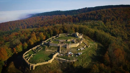 Falkenburg Ruine Luftaufnahme der imposanten Ruine Falkenburg, umgeben von buntem Wald, unter klarer Herbstsonne.