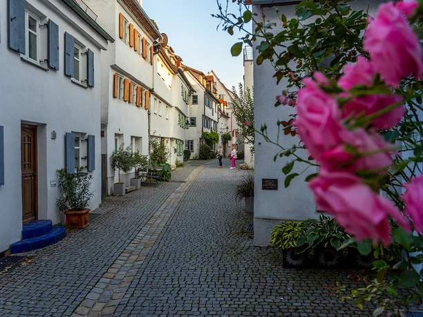 Die Kombitour - Günzburg entdecken Die Kombitour Bustour Stadtführung Günzburg