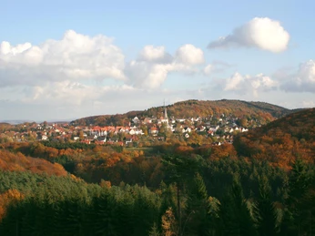 Oerlinghausen im Herbst Blick auf die herbstlich bunte Stadt Oerlinghausen, umgeben von sanften Hügeln und Wäldern.