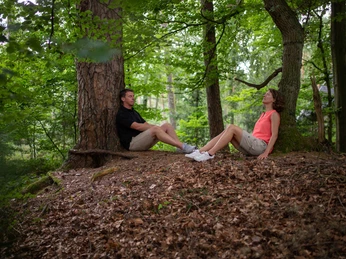 Kurwald Bad Lippspringe Zwei Personen sitzen entspannt an einem Baum im grünen Wald von Bad Lippspringe auf Laub.
