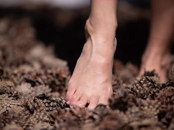Kneipp-Barfußpfad Bad Salzuflen Fuß auf einem Barfußpfad voller Tannenzapfen; fördert sensorische Erfahrungen und Balance.