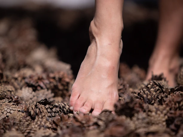 Kneipp-Barfußpfad Bad Salzuflen Fuß auf einem Barfußpfad voller Tannenzapfen; fördert sensorische Erfahrungen und Balance.