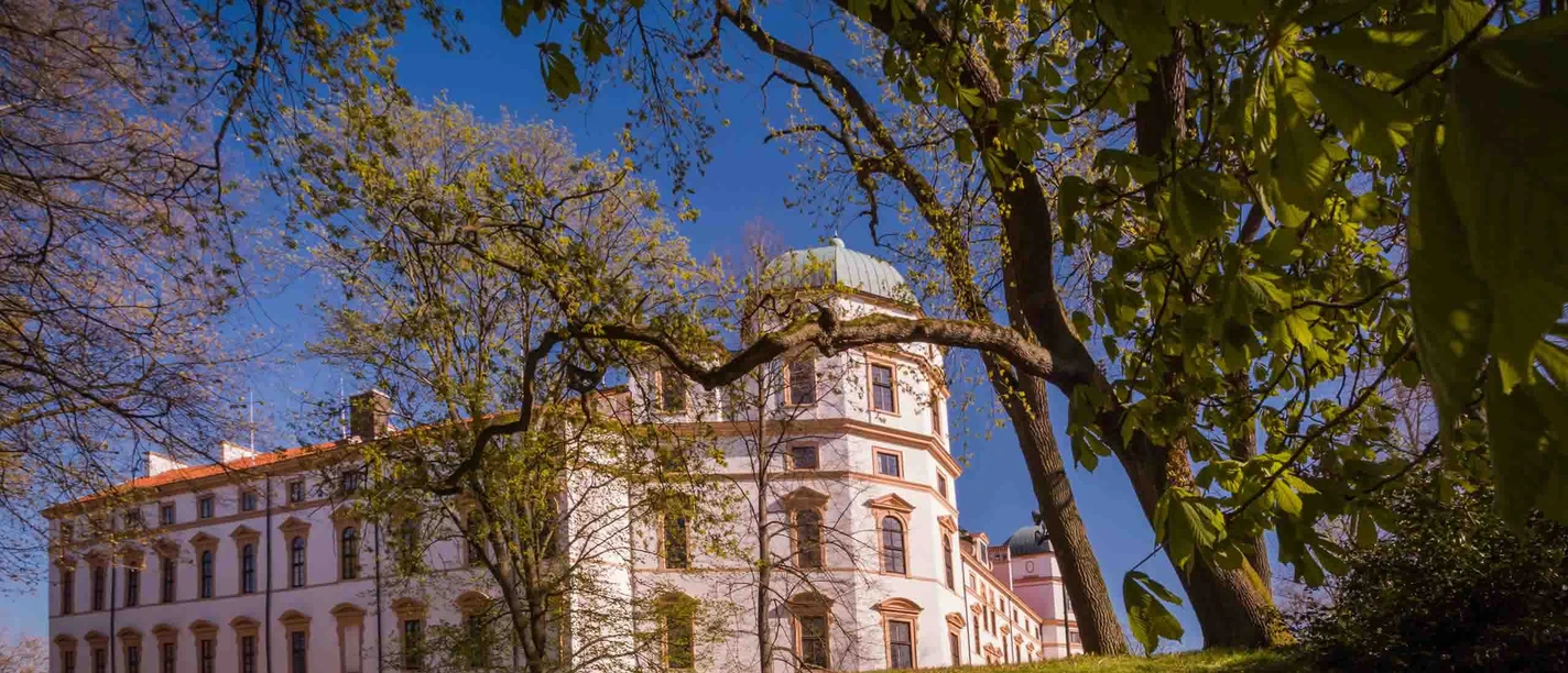 Celler Schloss von außen Celler Schloss von außen