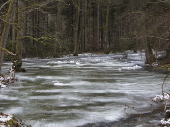Neukirchen, Perlbachtal
