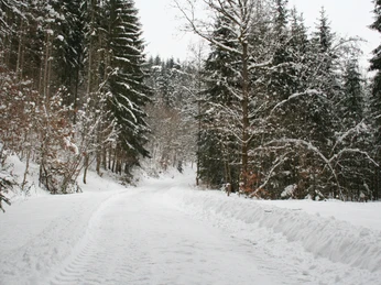 Neukirchen, Perlbachtal