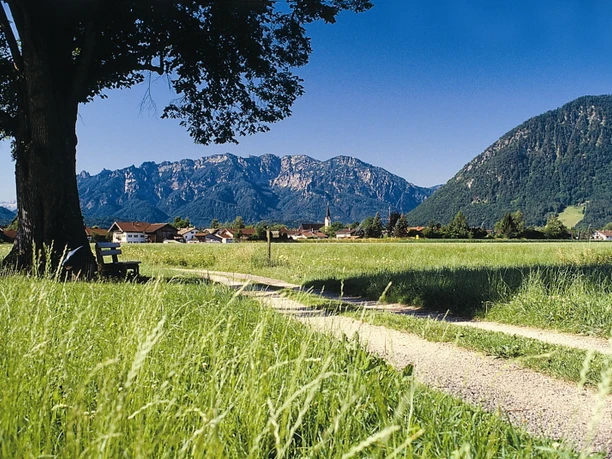 Piding Panoramaansicht