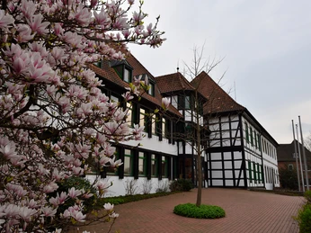 Rathaus Rehburg Rathaus Rehburg mit Fachwerkfassade und blühendem Magnolienbaum vor bewölktem Himmel im Frühling.