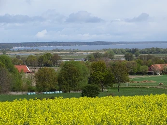 Haarberg Blühendes Rapsfeld mit roten Scheunen im Vordergrund, dahinter ein Fluss und bewaldete Hügel.