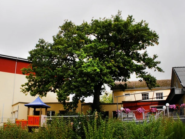 Hotel-Restaurant Weserschiffchen Hotel-Restaurant Weserschiffchen