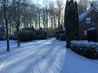 rehwiese_schnee6_022015