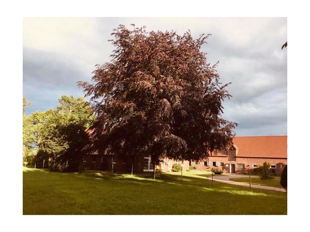 ferienhof-lukei