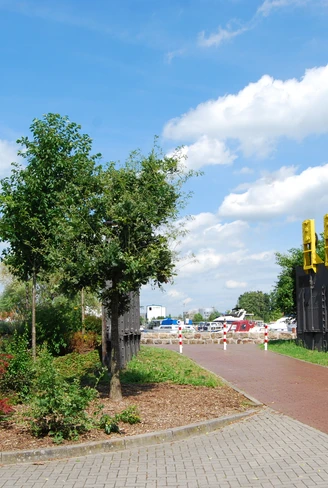 Stellplatz Sportboothafen
