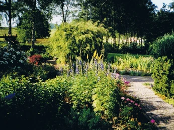 Garten des Landhauses mit üppigen Staudengewächsen
