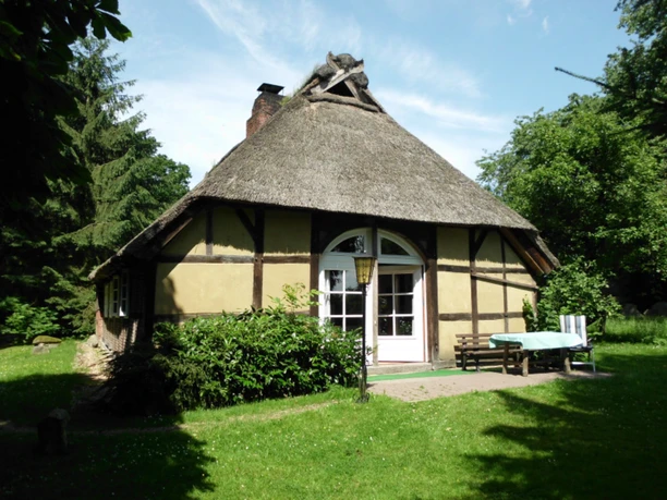 Außenansicht Reetgedecktes Ferienhaus mit Fachwerk und hellen Wänden, umgeben von Rasen und hohen Bäumen. Vor dem Haus stehen eine Holzbank und ein Gartentisch mit Stühlen auf einer kleinen gepflasterten Fläche. Die weiße Doppeltür mit Rundbogen öffnet sich zur Terrasse inmitten grüner Natur.