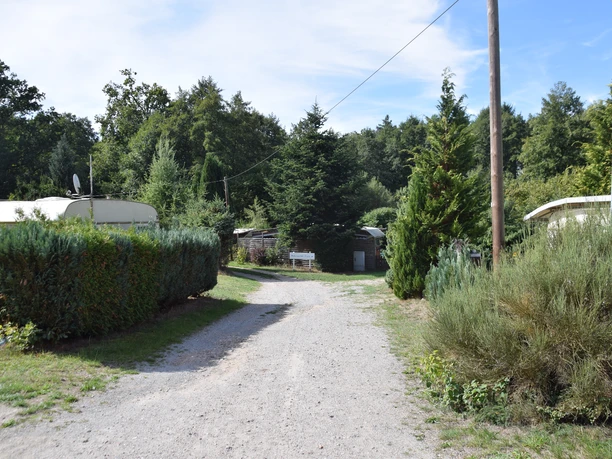 Campingplatz Ein schmaler Kiesweg führt zwischen dichten Hecken und Wohnwagen hindurch, umgeben von hohen Bäumen und grünen Sträuchern. Im Hintergrund stehen Holzhütten am Waldrand, über der Szenerie verläuft eine Stromleitung. Die Atmosphäre wirkt ruhig und von Natur geprägt.