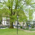 AUßenansicht Saltenhof Hörstel Stilvolles Landhaus mit Terrasse unter einem großen Baum, umgeben von grüner Vegetation und Gartenmöbeln.