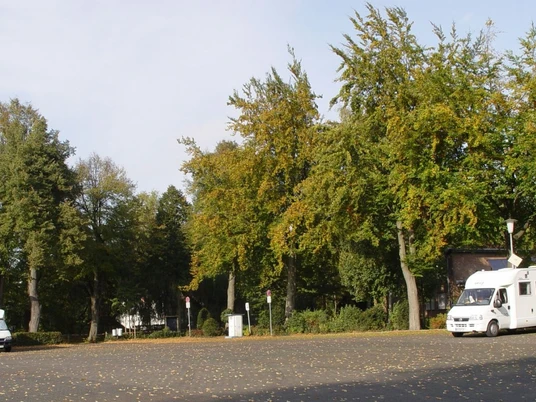 Zwei Wohnmobile stehen auf einem von Bäumen umgebenen Parkplatz; Herbstlaub bedeckt den Boden.