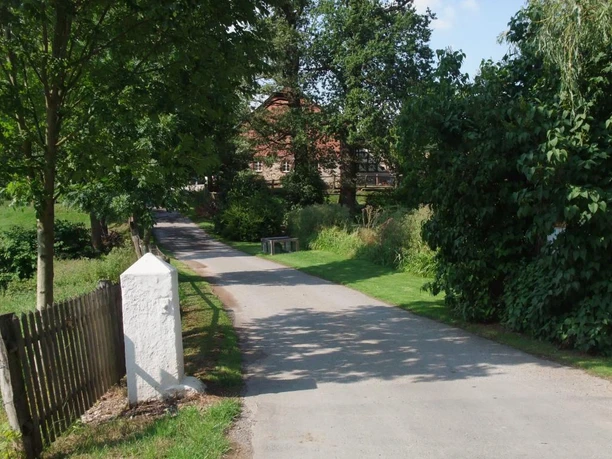 Bauernhofpension Lüdekingshof: Zufahrt Zufahrtsweg zur Bauernhofpension Lüdekingshof, gesäumt von Bäumen und begrünten Flächen.