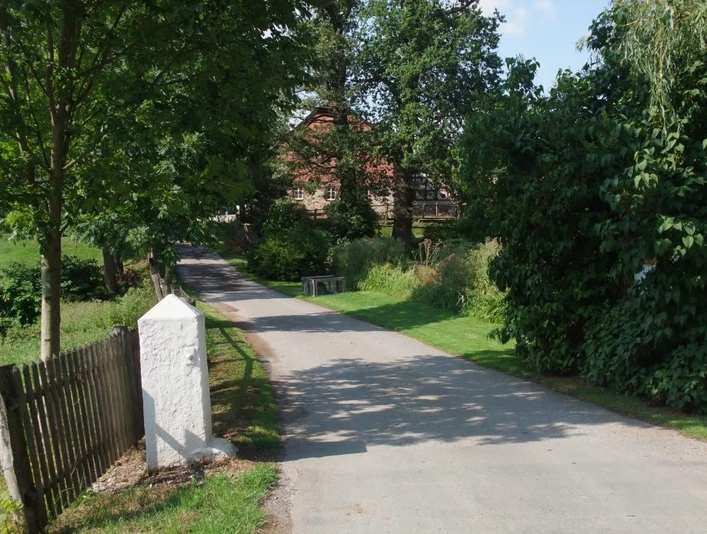 Bauernhofpension Lüdekingshof: Zufahrt Zufahrtsweg zur Bauernhofpension Lüdekingshof, gesäumt von Bäumen und begrünten Flächen.