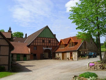 Bauernhofpension Lüdekingshof: Hofansicht Roter Backsteinbau und Fachwerk auf Bauernhof mit großen Bäumen, Kiesweg und blühendem Garten.