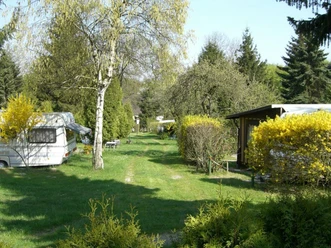 Grüner Campingplatz mit Wohnwagen und blühenden Sträuchern, von Bäumen umgeben, bei Sonnenschein.