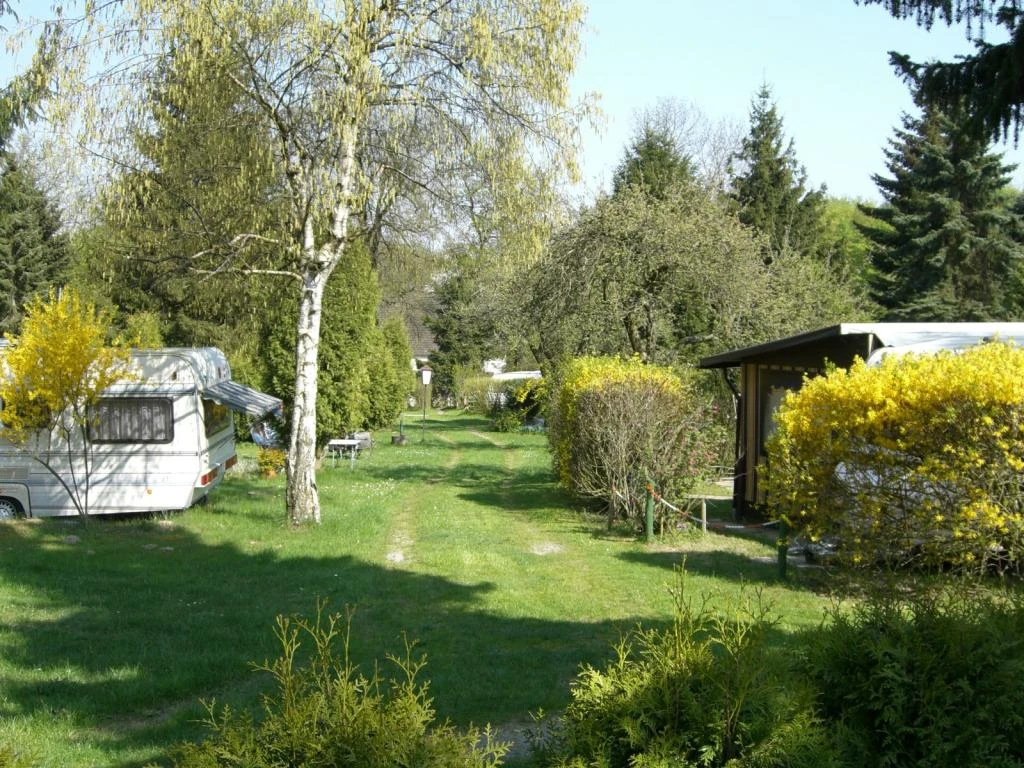 Campingplatz Bambi Extertal Grüner Campingplatz mit Wohnwagen und blühenden Sträuchern, von Bäumen umgeben, bei Sonnenschein.
