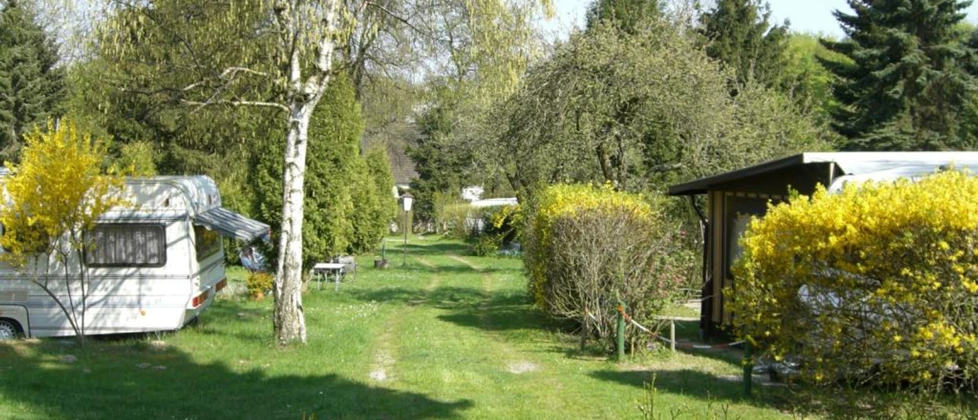 Campingplatz Bambi Extertal Grüner Campingplatz mit Wohnwagen und blühenden Sträuchern, von Bäumen umgeben, bei Sonnenschein.