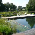 Rohloff Ferienpark Buschhof Extertal Schwimmteich mit Holzsteg, umgeben von üppiger Vegetation, im Rohloff Ferienpark Extertal.