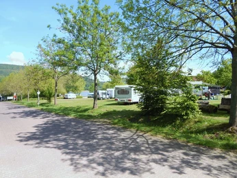 Wohnmobilhafen mit grünen Stellplätzen und schattenspendenden Bäumen, Wohnmobile aufgereiht.