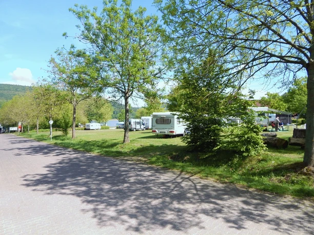 Wohnmobilhafen SchiederSee Wohnmobilhafen mit grünen Stellplätzen und schattenspendenden Bäumen, Wohnmobile aufgereiht.