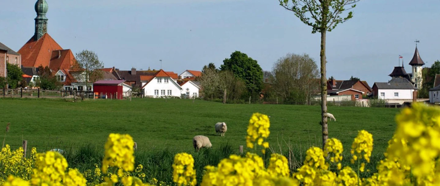 insta-kirche-wesselburen-a-wollatz