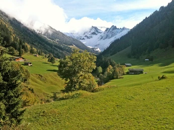 View from the garden Grüne Wiesen mit verschneiten Bergen im HintergrundGreen meadows with snow-covered mountains in the backgroundDe vertes prairies avec des montagnes enneigées en arrière-plan