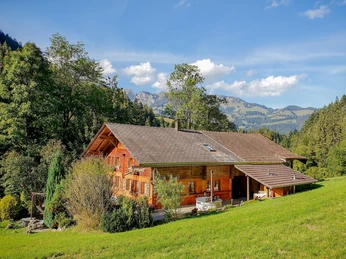 House with a lot of grounds