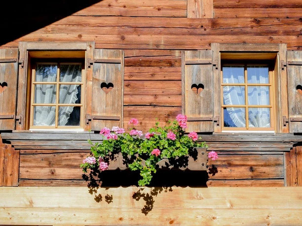 Fensterfront mit Geranien