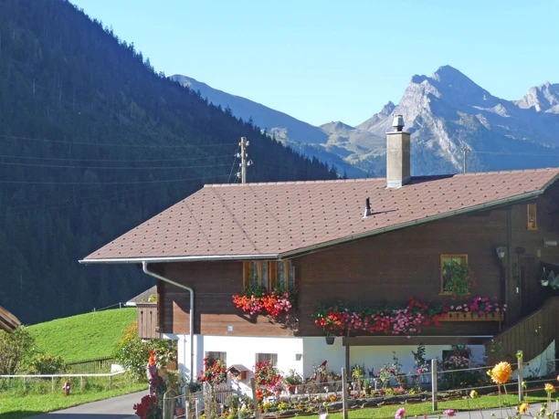 Aussenansicht Sommer