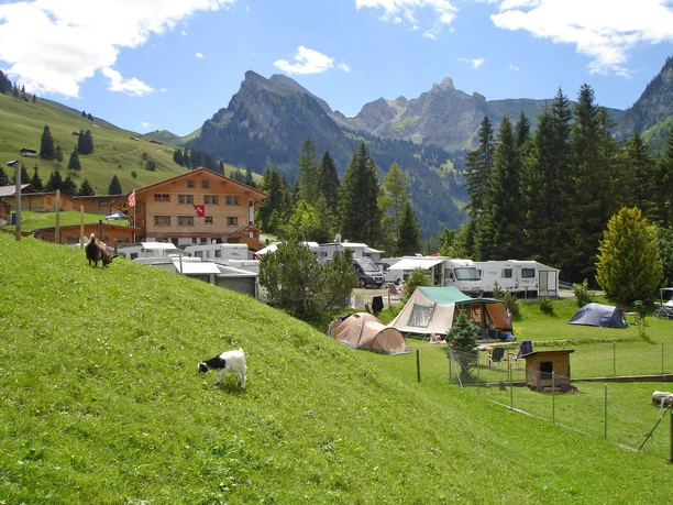 Der Camping Eggmatte im Sommer Sicht auf den Campingplatz umgeben von grünen Wiesen und Bergen