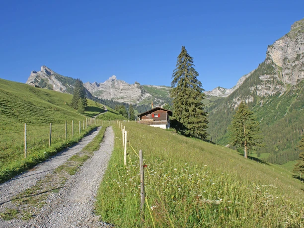 Vue extérieure en été